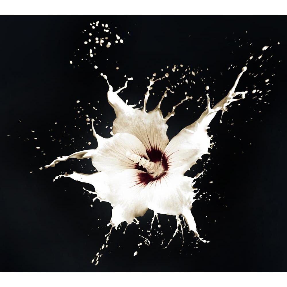 ArtzFolio White Flowers With Milk Splash On Black Background Peel & Stick Vinyl Wall Sticker-Laminated Wall Stickers-AZ5005892ART_UN_RF_R-0-Image Code 5005892 Vishnu Image Folio Pvt Ltd, IC 5005892, ArtzFolio, Laminated Wall Stickers, Floral, Photography, white, flowers, with, milk, splash, on, black, background, peel, stick, vinyl, wall, sticker, for, bedroom, large, size, decal, drawing, room, living, decorative, big, waterproof, home, office, reception, pitaara, box, designer, prints, kids, pvc, amazonba