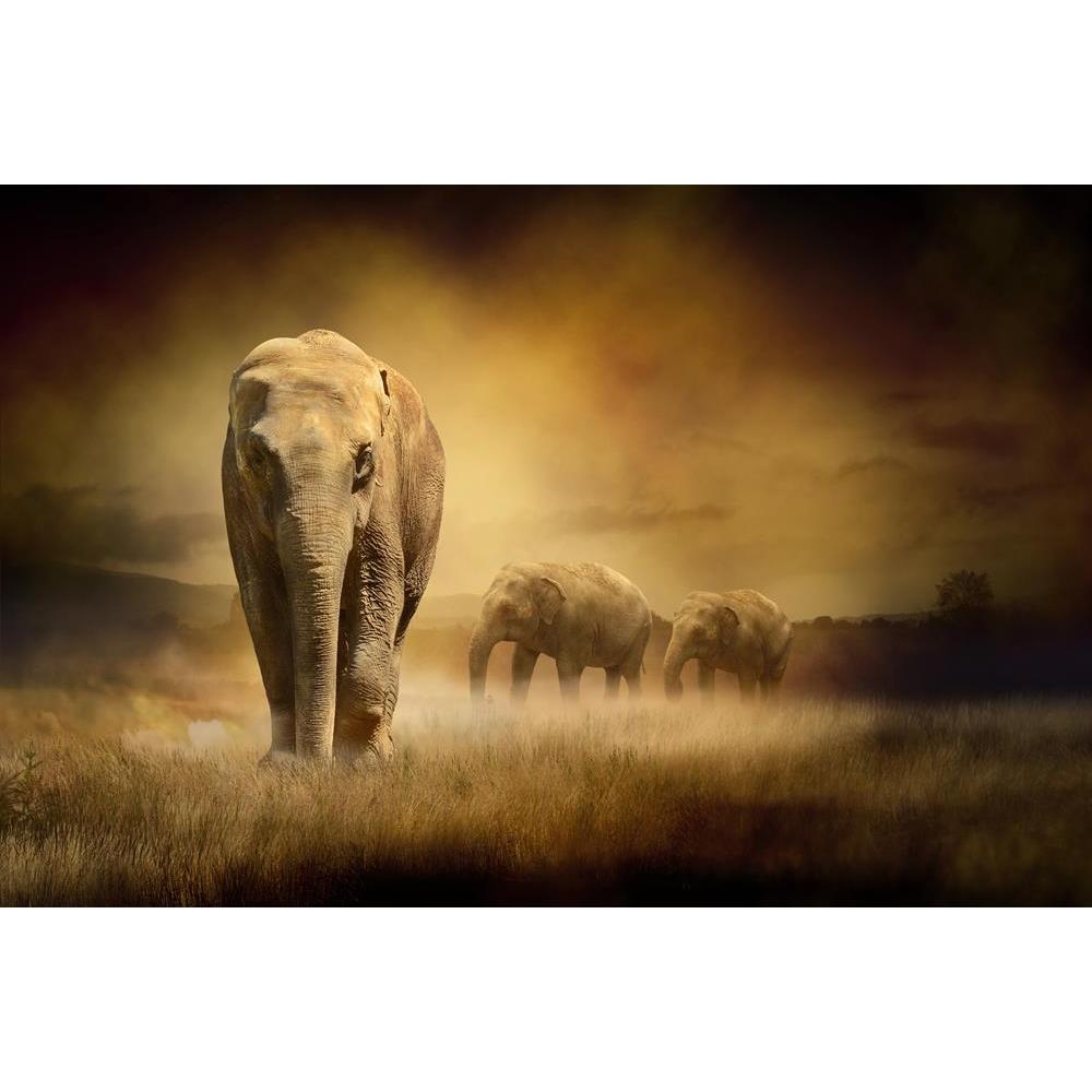 ArtzFolio Elephants At Sunset Canvas Painting-Paintings MDF Framing-AZ5005894ART_UN_RF_R-0-Image Code 5005894 Vishnu Image Folio Pvt Ltd, IC 5005894, ArtzFolio, Paintings MDF Framing, Animals, Photography, elephants, at, sunset, canvas, painting, framed, print, wall, for, living, room, with, frame, poster, pitaara, box, large, size, drawing, art, split, big, office, reception, of, kids, panel, designer, decorative, amazonbasics, reprint, small, bedroom, on, scenery, africa, african, animal, asia, asian, bac