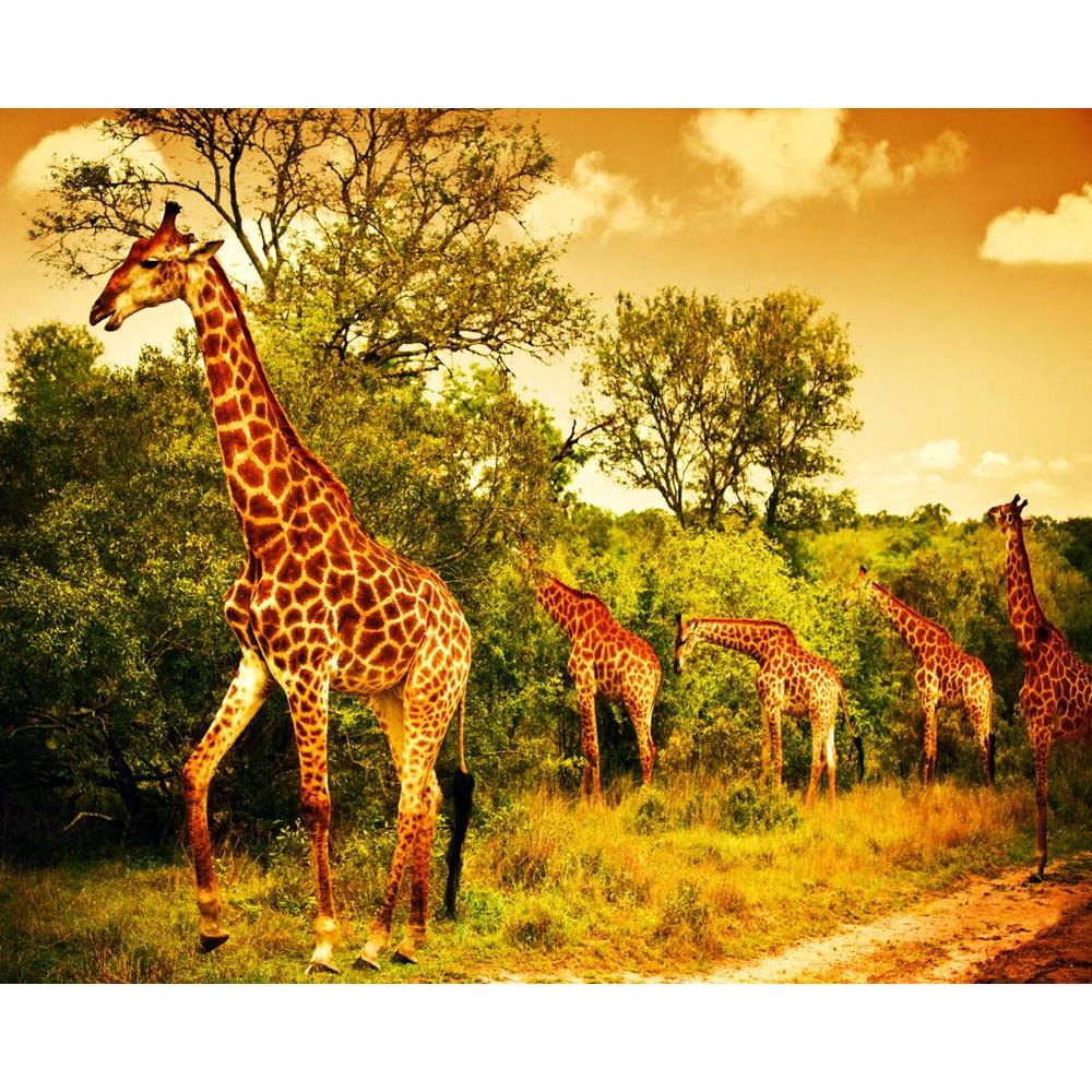 ArtzFolio Animal Safari in Kruger National Park, South Africa Unframed Premium Canvas Painting-Paintings Unframed Premium-AZ5005895ART_UN_RF_R-0-Image Code 5005895 Vishnu Image Folio Pvt Ltd, IC 5005895, ArtzFolio, Paintings Unframed Premium, Animals, Landscapes, Photography, animal, safari, in, kruger, national, park, south, africa, unframed, premium, canvas, painting, large, size, print, wall, for, living, room, without, frame, decorative, poster, art, pitaara, box, drawing, amazonbasics, big, kids, desig
