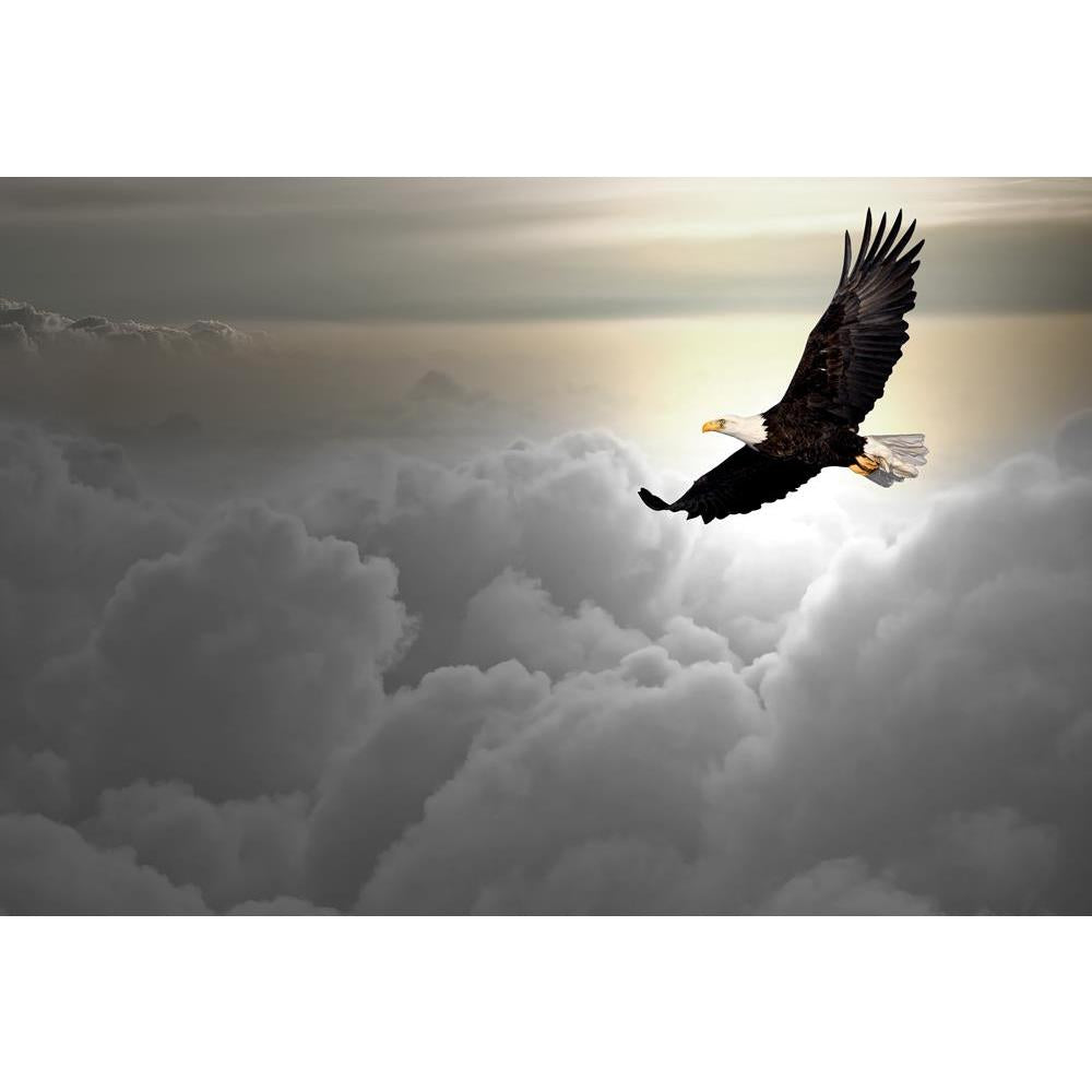 ArtzFolio Bald Eagle Flying Above The Clouds Unframed Premium Canvas Painting-Paintings Unframed Premium-AZ5005897ART_UN_RF_R-0-Image Code 5005897 Vishnu Image Folio Pvt Ltd, IC 5005897, ArtzFolio, Paintings Unframed Premium, Birds, Photography, bald, eagle, flying, above, the, clouds, unframed, premium, canvas, painting, large, size, print, wall, for, living, room, without, frame, decorative, poster, art, pitaara, box, drawing, amazonbasics, big, kids, designer, office, reception, reprint, bedroom, panel, 