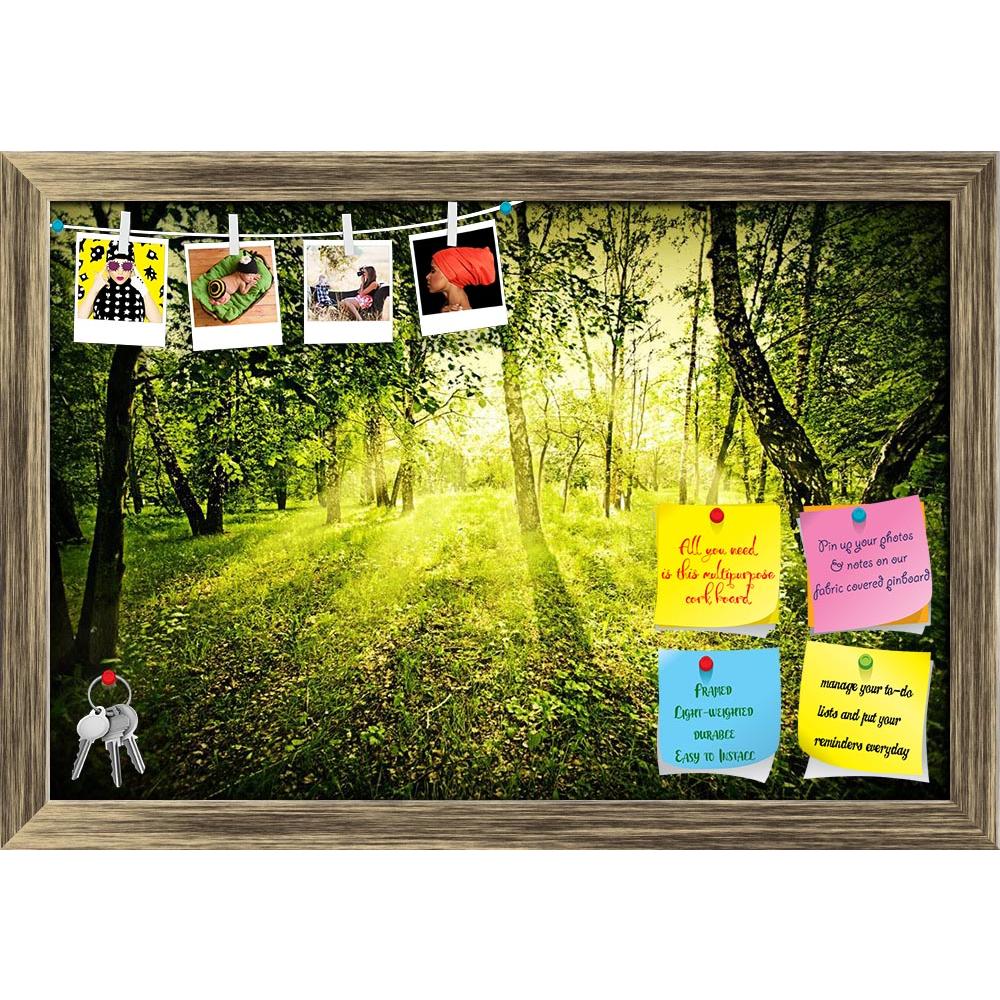 ArtzFolio Fantasy Green Deep Forest On Summer Morning Printed Bulletin Board Notice Pin Board Soft Board | Framed-Bulletin Boards Framed-AZ5005904BLB_FR_RF_R-0-Image Code 5005904 Vishnu Image Folio Pvt Ltd, IC 5005904, ArtzFolio, Bulletin Boards Framed, Landscapes, Photography, fantasy, green, deep, forest, on, summer, morning, printed, bulletin, board, notice, pin, soft, framed, beam, black, country, dark, darkness, elegance, evening, fog, foliage, grass, ground, landscape, leaf, light, magic, mist, misty,