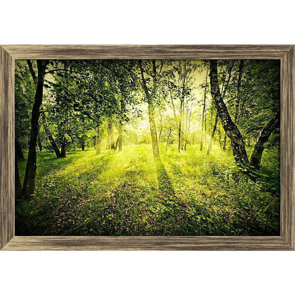 ArtzFolio Fantasy Green Deep Forest On Summer Morning Canvas Painting-Paintings Wooden Framing-AZ5005904ART_FR_RF_R-0-Image Code 5005904 Vishnu Image Folio Pvt Ltd, IC 5005904, ArtzFolio, Paintings Wooden Framing, Landscapes, Photography, fantasy, green, deep, forest, on, summer, morning, canvas, painting, framed, print, wall, for, living, room, with, frame, poster, pitaara, box, large, size, drawing, art, split, big, office, reception, of, kids, panel, designer, decorative, amazonbasics, reprint, small, be