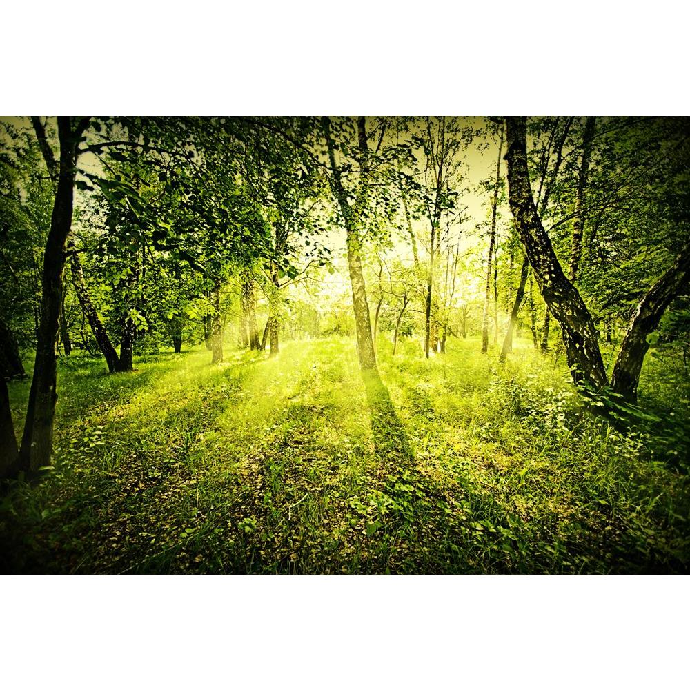 ArtzFolio Fantasy Green Deep Forest On Summer Morning Unframed Premium Canvas Painting-Paintings Unframed Premium-AZ5005904ART_UN_RF_R-0-Image Code 5005904 Vishnu Image Folio Pvt Ltd, IC 5005904, ArtzFolio, Paintings Unframed Premium, Landscapes, Photography, fantasy, green, deep, forest, on, summer, morning, unframed, premium, canvas, painting, large, size, print, wall, for, living, room, without, frame, decorative, poster, art, pitaara, box, drawing, amazonbasics, big, kids, designer, office, reception, r