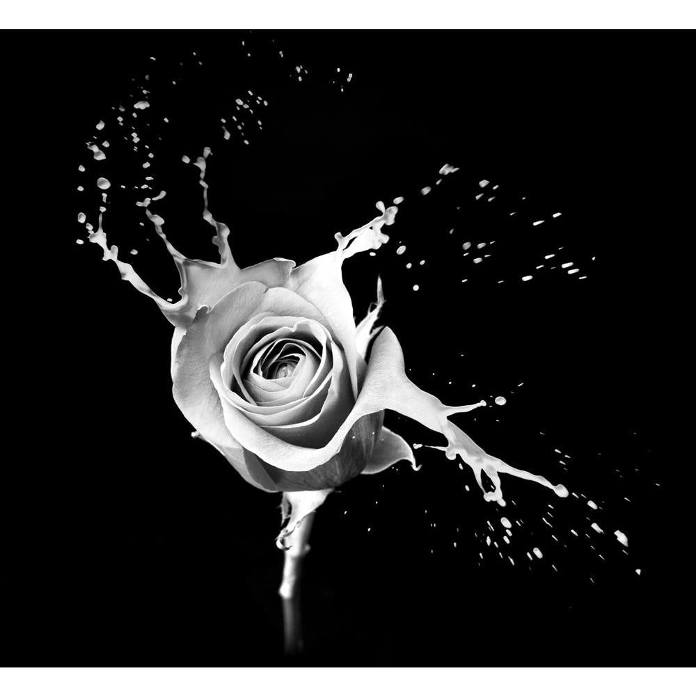 ArtzFolio Rose With Red Splashes On Black Background Canvas Painting-Paintings MDF Framing-AZ5005910ART_UN_RF_R-0-Image Code 5005910 Vishnu Image Folio Pvt Ltd, IC 5005910, ArtzFolio, Paintings MDF Framing, Floral, Photography, rose, with, red, splashes, on, black, background, canvas, painting, framed, print, wall, for, living, room, frame, poster, pitaara, box, large, size, drawing, art, split, big, office, reception, of, kids, panel, designer, decorative, amazonbasics, reprint, small, bedroom, scenery, br