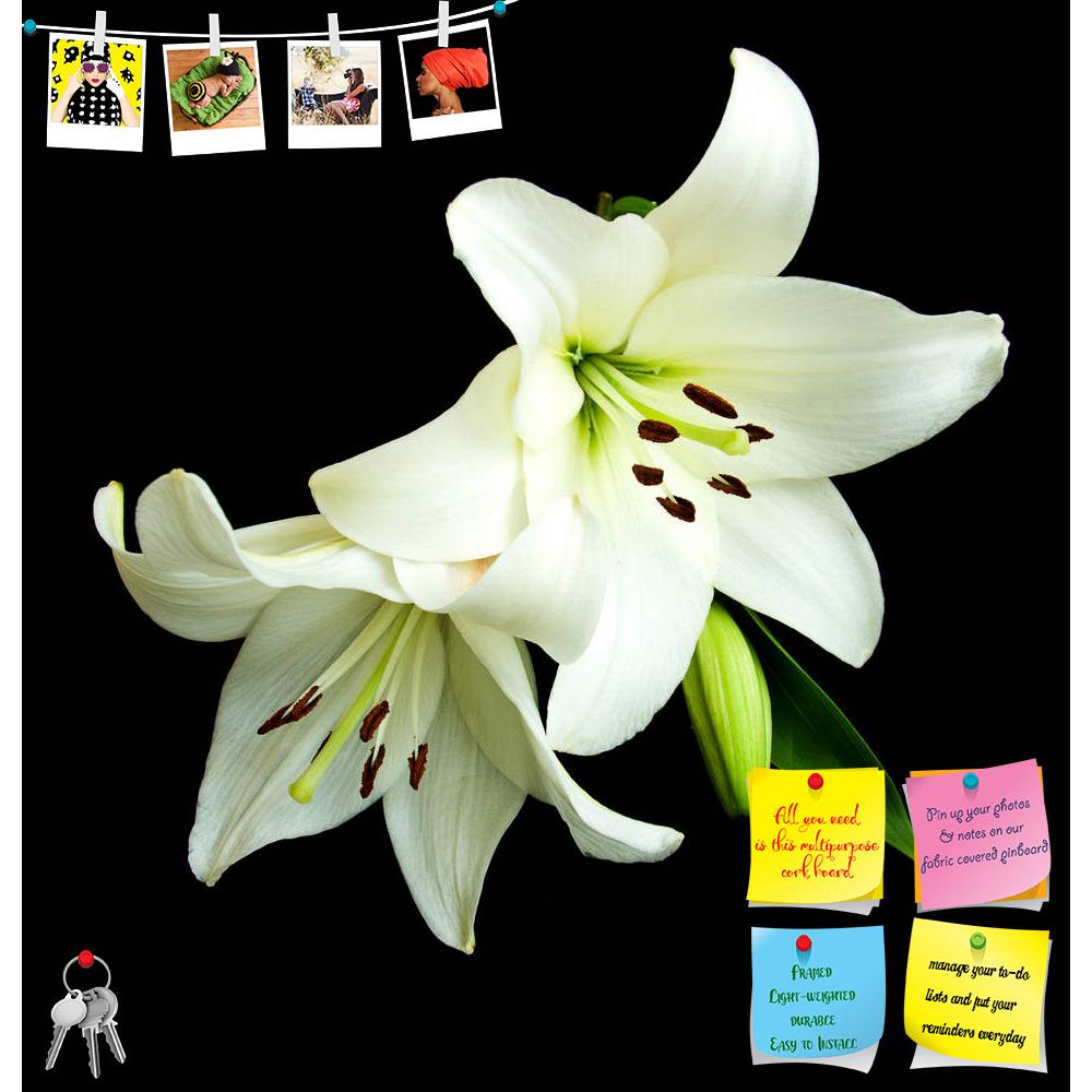 ArtzFolio White Lily On A Black Background Printed Bulletin Board Notice Pin Board Soft Board | Frameless-Bulletin Boards Frameless-AZ5005927BLB_FL_RF_R-0-Image Code 5005927 Vishnu Image Folio Pvt Ltd, IC 5005927, ArtzFolio, Bulletin Boards Frameless, Floral, Photography, white, lily, on, a, black, background, printed, bulletin, board, notice, pin, soft, frameless, flower, isolated, stamen, petal, green, pistil, contrasts, single, fragility, nature, purity, flora, pollen, beauty, backgrounds, beautiful, pin