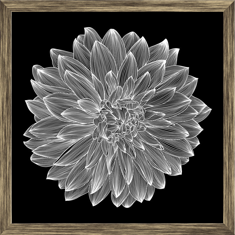 ArtzFolio Black & White Photo of Dahlia Flower Canvas Painting-Paintings Wooden Framing-AZ5005934ART_FR_RF_R-0-Image Code 5005934 Vishnu Image Folio Pvt Ltd, IC 5005934, ArtzFolio, Paintings Wooden Framing, Floral, Digital Art, black, white, photo, of, dahlia, flower, canvas, painting, drawing, flower., element, for, your, design, engraving, style, framed canvas print, wall painting for living room with frame, canvas painting for living room, poster, framed canvas painting, wall painting with frame, canvas 
