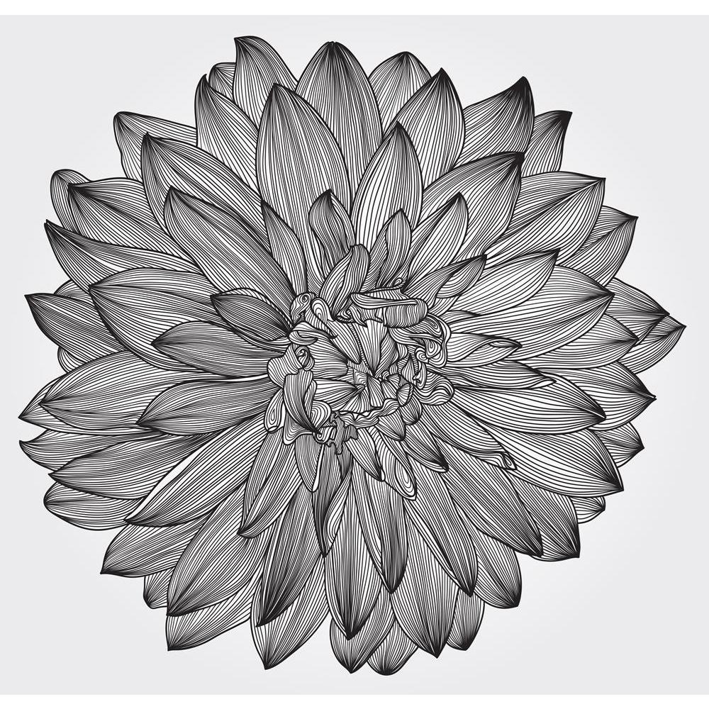 ArtzFolio Artwork of Black Dahlia Flower Canvas Painting-Paintings MDF Framing-AZ5005935ART_UN_RF_R-0-Image Code 5005935 Vishnu Image Folio Pvt Ltd, IC 5005935, ArtzFolio, Paintings MDF Framing, Floral, Digital Art, artwork, of, black, dahlia, flower, canvas, painting, framed, print, wall, for, living, room, with, frame, poster, pitaara, box, large, size, drawing, art, split, big, office, reception, photography, kids, panel, designer, decorative, amazonbasics, reprint, small, bedroom, on, scenery, ink, elem