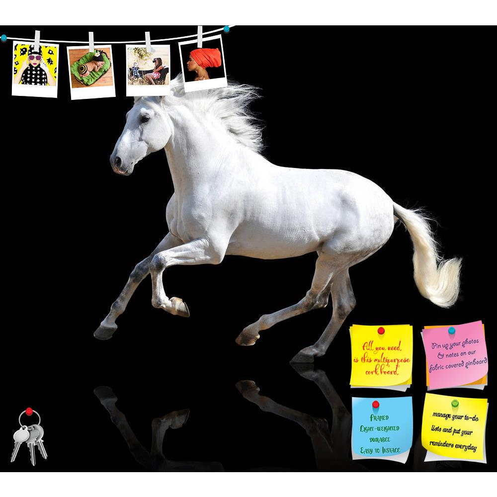 ArtzFolio White Andalusian Horse Isolated On The Black Printed Bulletin Board Notice Pin Board Soft Board | Frameless-Bulletin Boards Frameless-AZ5005942BLB_FL_RF_R-0-Image Code 5005942 Vishnu Image Folio Pvt Ltd, IC 5005942, ArtzFolio, Bulletin Boards Frameless, Animals, Photography, white, andalusian, horse, isolated, on, the, black, printed, bulletin, board, notice, pin, soft, frameless, beautiful, beauty, canter, clear, emotions, equestrian, equine, farm, fast, free, freedom, gallop, high, hoofed, horiz