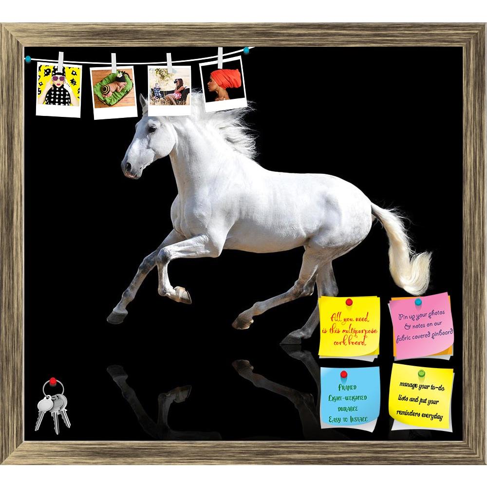 ArtzFolio White Andalusian Horse Isolated On The Black Printed Bulletin Board Notice Pin Board Soft Board | Framed-Bulletin Boards Framed-AZ5005942BLB_FR_RF_R-0-Image Code 5005942 Vishnu Image Folio Pvt Ltd, IC 5005942, ArtzFolio, Bulletin Boards Framed, Animals, Photography, white, andalusian, horse, isolated, on, the, black, printed, bulletin, board, notice, pin, soft, framed, beautiful, beauty, canter, clear, emotions, equestrian, equine, farm, fast, free, freedom, gallop, high, hoofed, horizontal, light