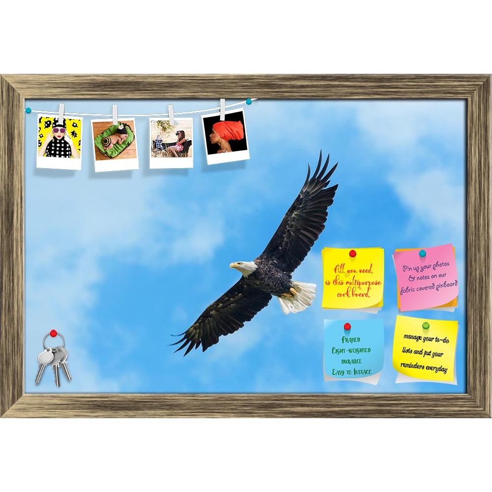 ArtzFolio American Bald Eagle Circling In The Air Printed Bulletin Board Notice Pin Board Soft Board | Framed-Bulletin Boards Framed-AZ5005952BLB_FR_RF_R-0-Image Code 5005952 Vishnu Image Folio Pvt Ltd, IC 5005952, ArtzFolio, Bulletin Boards Framed, Birds, Photography, american, bald, eagle, circling, in, the, air, printed, bulletin, board, notice, pin, soft, framed, adult, alaska, america, animal, animals, avian, bird, birding, birdwatching, blue, clouds, country, flight, fly, free, freedom, gliding, grace