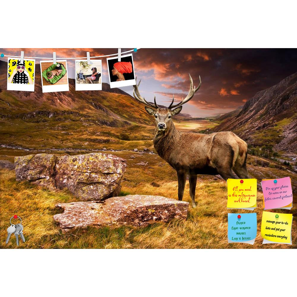 ArtzFolio Sunset Over Mountain Range & Red Deer Stag Printed Bulletin Board Notice Pin Board Soft Board | Frameless-Bulletin Boards Frameless-AZ5005973BLB_FL_RF_R-0-Image Code 5005973 Vishnu Image Folio Pvt Ltd, IC 5005973, ArtzFolio, Bulletin Boards Frameless, Animals, Landscapes, Photography, sunset, over, mountain, range, red, deer, stag, printed, bulletin, board, notice, pin, soft, frameless, landscape, geology, sundown, evening, dusk, twilight, sky, clouds, moody, dramatic, stormy, summer, autumn, autu