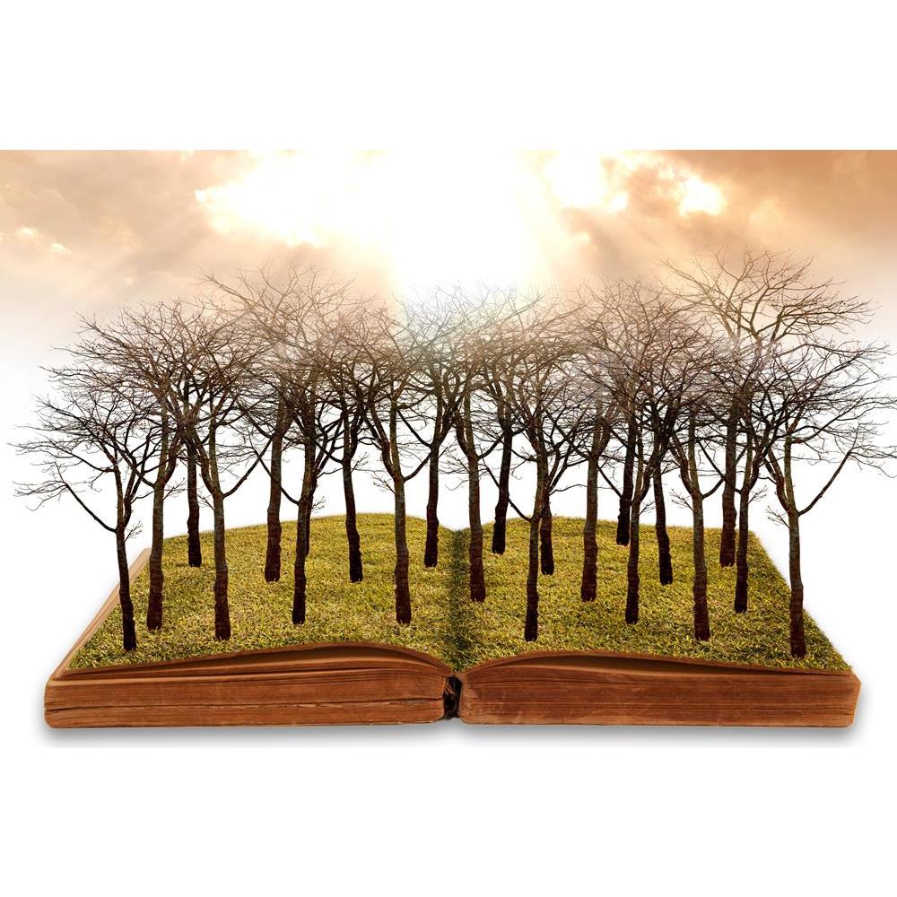 ArtzFolio Concept Image of Global Warming Unframed Premium Canvas Painting-Paintings Unframed Premium-AZ5005982ART_UN_RF_R-0-Image Code 5005982 Vishnu Image Folio Pvt Ltd, IC 5005982, ArtzFolio, Paintings Unframed Premium, Conceptual, Landscapes, Digital Art, concept, image, of, global, warming, unframed, premium, canvas, painting, large, size, print, wall, for, living, room, without, frame, decorative, poster, art, pitaara, box, drawing, photography, amazonbasics, big, kids, designer, office, reception, re