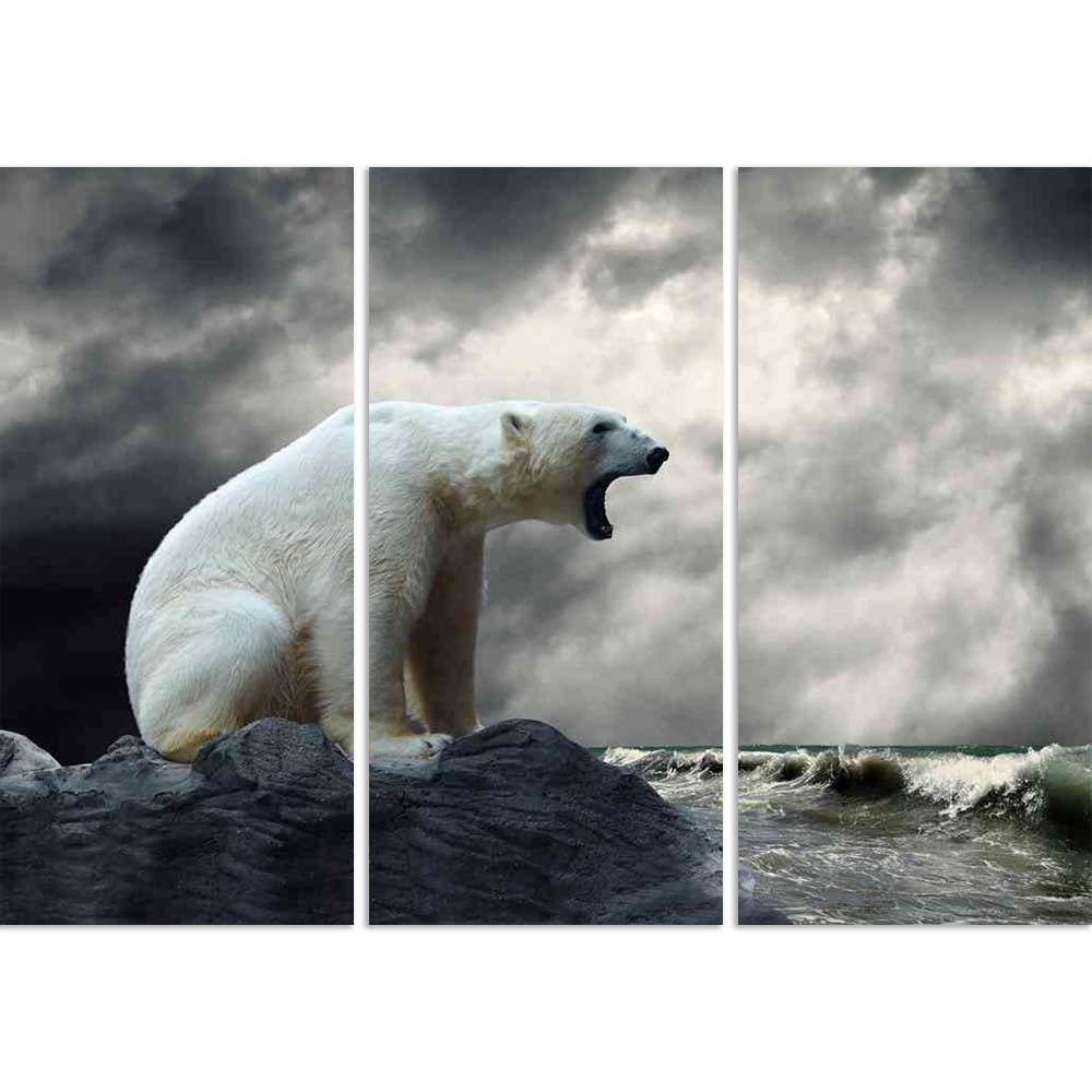 ArtzFolio White Polar Bear Hunter On The Ice In Water Drops D1 Split Art Painting Panel on Sunboard-Split Art Panels-AZ5005990SPL_FR_RF_R-0-Image Code 5005990 Vishnu Image Folio Pvt Ltd, IC 5005990, ArtzFolio, Split Art Panels, Animals, Photography, white, polar, bear, hunter, on, the, ice, in, water, drops, d1, split, art, painting, panel, sunboard, framed, canvas, print, wall, for, living, room, with, frame, poster, pitaara, box, large, size, drawing, big, office, reception, of, kids, designer, decorative