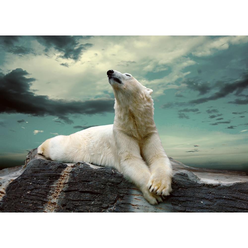 ArtzFolio White Polar Bear Hunte Peel & Stick Vinyl Wall Sticker-Laminated Wall Stickers-AZ5005998ART_UN_RF_R-0-Image Code 5005998 Vishnu Image Folio Pvt Ltd, IC 5005998, ArtzFolio, Laminated Wall Stickers, Animals, Photography, white, polar, bear, hunte, peel, stick, vinyl, wall, sticker, for, bedroom, large, size, decal, drawing, room, living, decorative, big, waterproof, home, office, reception, pitaara, box, designer, prints, kids, pvc, amazonbasics, washable, abstract, self, adhesive, imported, small, 