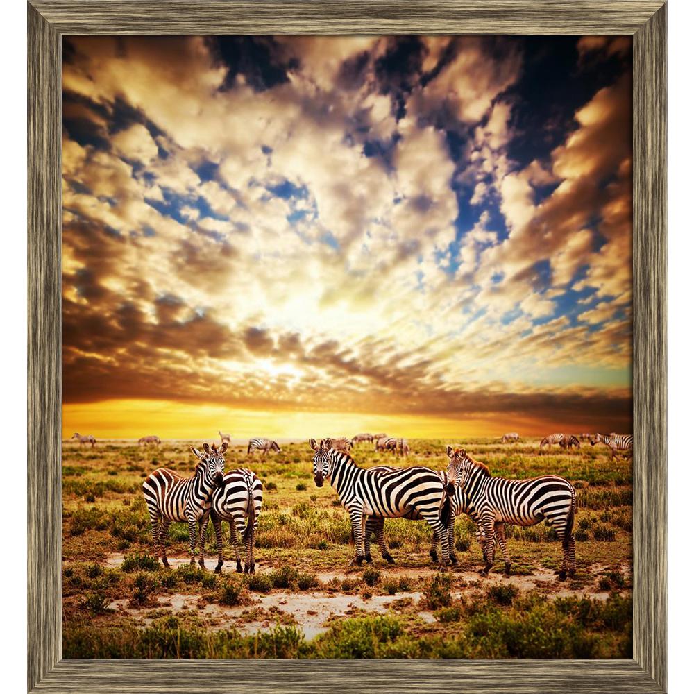 ArtzFolio Zebras Herd At Sunset, Safari in Tanzania, Africa Canvas Painting-Paintings Wooden Framing-AZ5006003ART_FR_RF_R-0-Image Code 5006003 Vishnu Image Folio Pvt Ltd, IC 5006003, ArtzFolio, Paintings Wooden Framing, Animals, Landscapes, Photography, zebras, herd, at, sunset, safari, in, tanzania, africa, canvas, painting, framed, print, wall, for, living, room, with, frame, poster, pitaara, box, large, size, drawing, art, split, big, office, reception, of, kids, panel, designer, decorative, amazonbasics