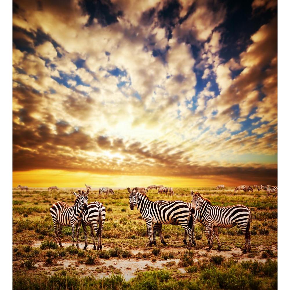 ArtzFolio Zebras Herd At Sunset, Safari in Tanzania, Africa Canvas Painting-Paintings MDF Framing-AZ5006003ART_UN_RF_R-0-Image Code 5006003 Vishnu Image Folio Pvt Ltd, IC 5006003, ArtzFolio, Paintings MDF Framing, Animals, Landscapes, Photography, zebras, herd, at, sunset, safari, in, tanzania, africa, canvas, painting, framed, print, wall, for, living, room, with, frame, poster, pitaara, box, large, size, drawing, art, split, big, office, reception, of, kids, panel, designer, decorative, amazonbasics, repr