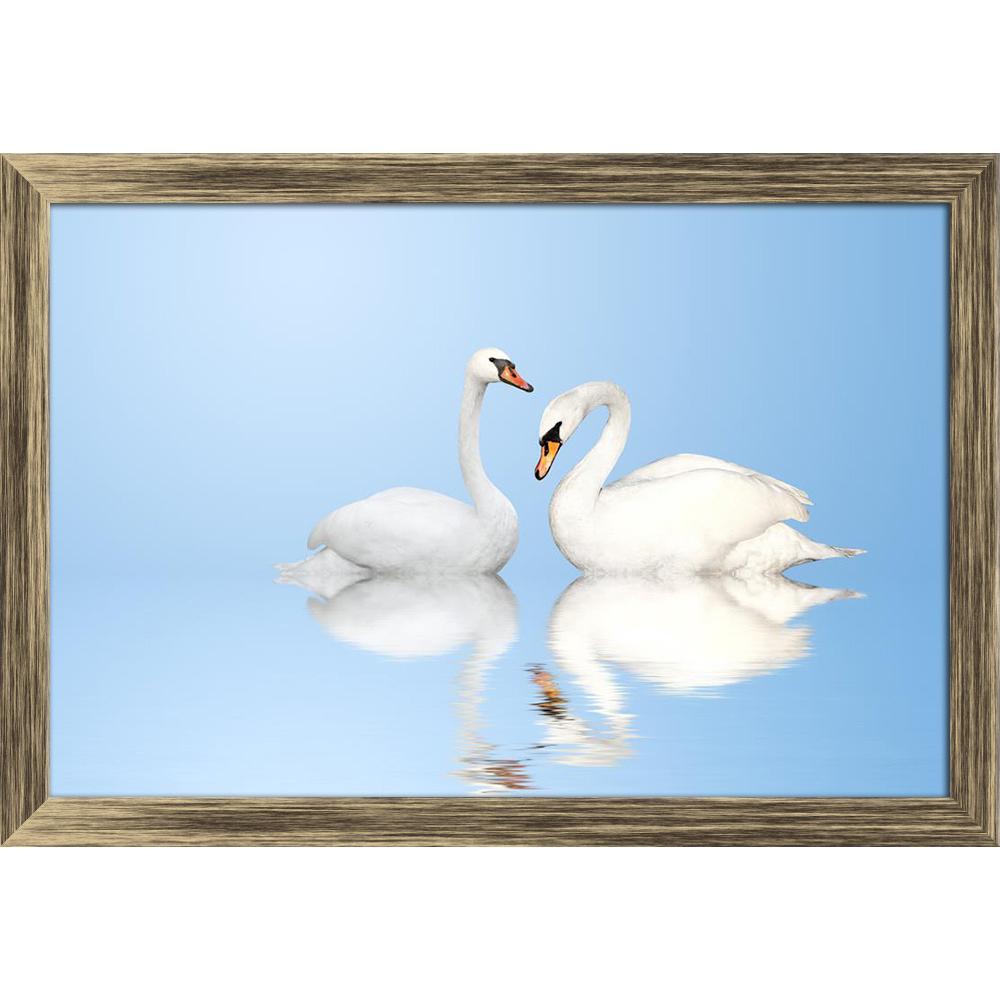 ArtzFolio Two White Swans On Blue Background Canvas Painting-Paintings Wooden Framing-AZ5006023ART_FR_RF_R-0-Image Code 5006023 Vishnu Image Folio Pvt Ltd, IC 5006023, ArtzFolio, Paintings Wooden Framing, Birds, Photography, two, white, swans, on, blue, background, canvas, painting, framed, print, wall, for, living, room, with, frame, poster, pitaara, box, large, size, drawing, art, split, big, office, reception, of, kids, panel, designer, decorative, amazonbasics, reprint, small, bedroom, scenery, swan, bi