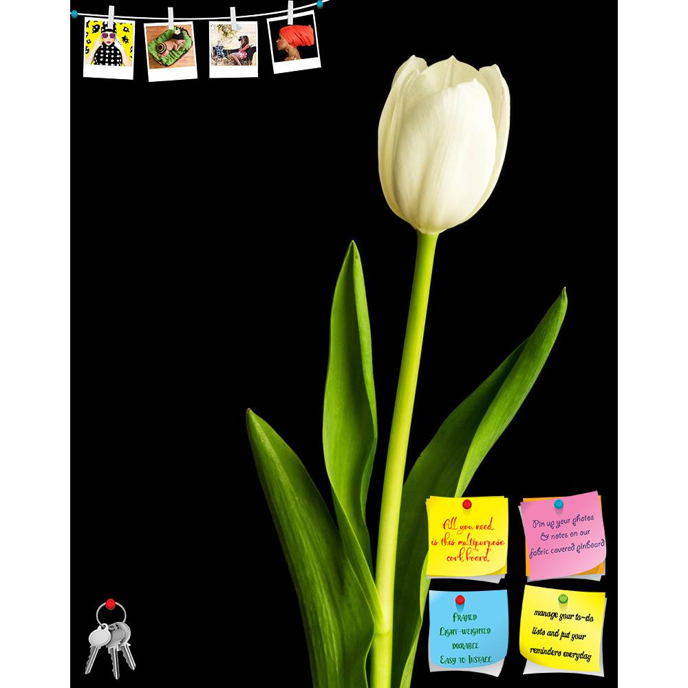 ArtzFolio Fresh Spring White Tulips Over Black Printed Bulletin Board Notice Pin Board Soft Board | Frameless-Bulletin Boards Frameless-AZ5006030BLB_FL_RF_R-0-Image Code 5006030 Vishnu Image Folio Pvt Ltd, IC 5006030, ArtzFolio, Bulletin Boards Frameless, Floral, Photography, fresh, spring, white, tulips, over, black, printed, bulletin, board, notice, pin, soft, frameless, flower, background, flora, green, nature, pin up board, push pin board, extra large cork board, big pin board, notice board, small bulle