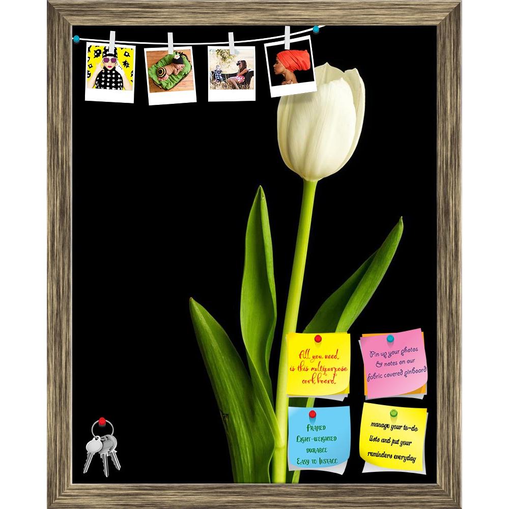ArtzFolio Fresh Spring White Tulips Over Black Printed Bulletin Board Notice Pin Board Soft Board | Framed-Bulletin Boards Framed-AZ5006030BLB_FR_RF_R-0-Image Code 5006030 Vishnu Image Folio Pvt Ltd, IC 5006030, ArtzFolio, Bulletin Boards Framed, Floral, Photography, fresh, spring, white, tulips, over, black, printed, bulletin, board, notice, pin, soft, framed, flower, background, flora, green, nature, pin up board, push pin board, extra large cork board, big pin board, notice board, small bulletin board, c