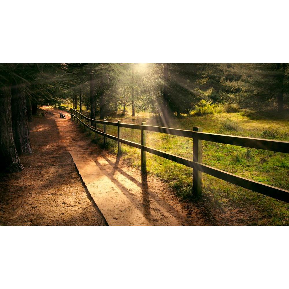 ArtzFolio Dreamy Enchanting Path In The Forest Unframed Premium Canvas Painting-Paintings Unframed Premium-AZ5006037ART_UN_RF_R-0-Image Code 5006037 Vishnu Image Folio Pvt Ltd, IC 5006037, ArtzFolio, Paintings Unframed Premium, Landscapes, Photography, dreamy, enchanting, path, in, the, forest, unframed, premium, canvas, painting, large, size, print, wall, for, living, room, without, frame, decorative, poster, art, pitaara, box, drawing, amazonbasics, big, kids, designer, office, reception, reprint, bedroom