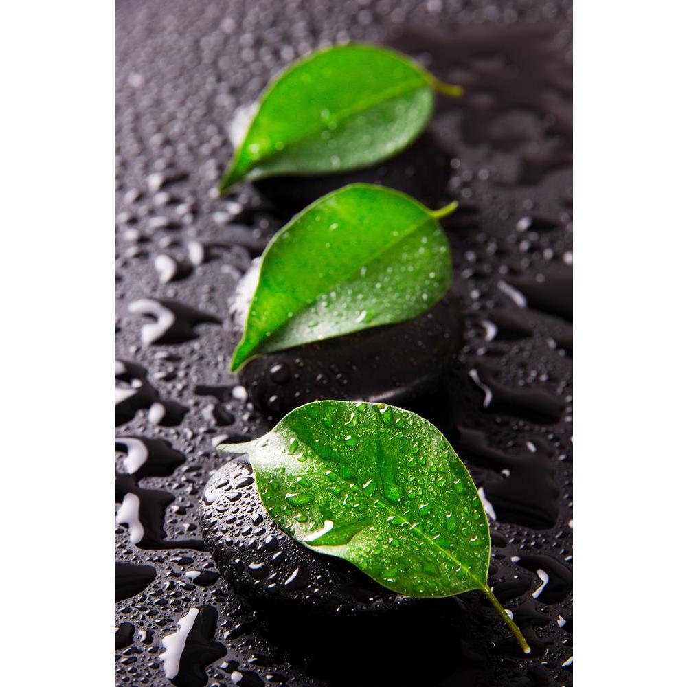 ArtzFolio Spa Still Life With Green Leaves Canvas Painting-Paintings MDF Framing-AZ5006054ART_UN_RF_R-0-Image Code 5006054 Vishnu Image Folio Pvt Ltd, IC 5006054, ArtzFolio, Paintings MDF Framing, Floral, Photography, spa, still, life, with, green, leaves, canvas, painting, framed, print, wall, for, living, room, frame, poster, pitaara, box, large, size, drawing, art, split, big, office, reception, of, kids, panel, designer, decorative, amazonbasics, reprint, small, bedroom, on, scenery, background, health,