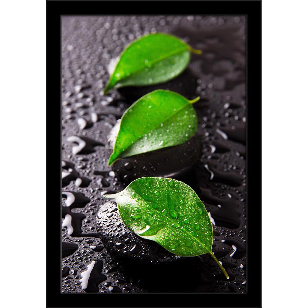 Spa Still Life With Green Leaves Painting Poster Frame-Regular Art Framed-REG_FR-IC 5006054 IC 5006054, Black and White, Botanical, Floral, Flowers, Health, Marble and Stone, Nature, Scenic, Tropical, White, spa, still, life, with, green, leaves, painting, poster, frame, alternative, aroma, aromatherapy, background, burning, calm, care, fire, flame, flower, harmony, healthy, light, massage, meditation, natural, peace, petal, plant, relax, relaxation, resort, stone, tenderness, therapy, wellness, zen, artzfo