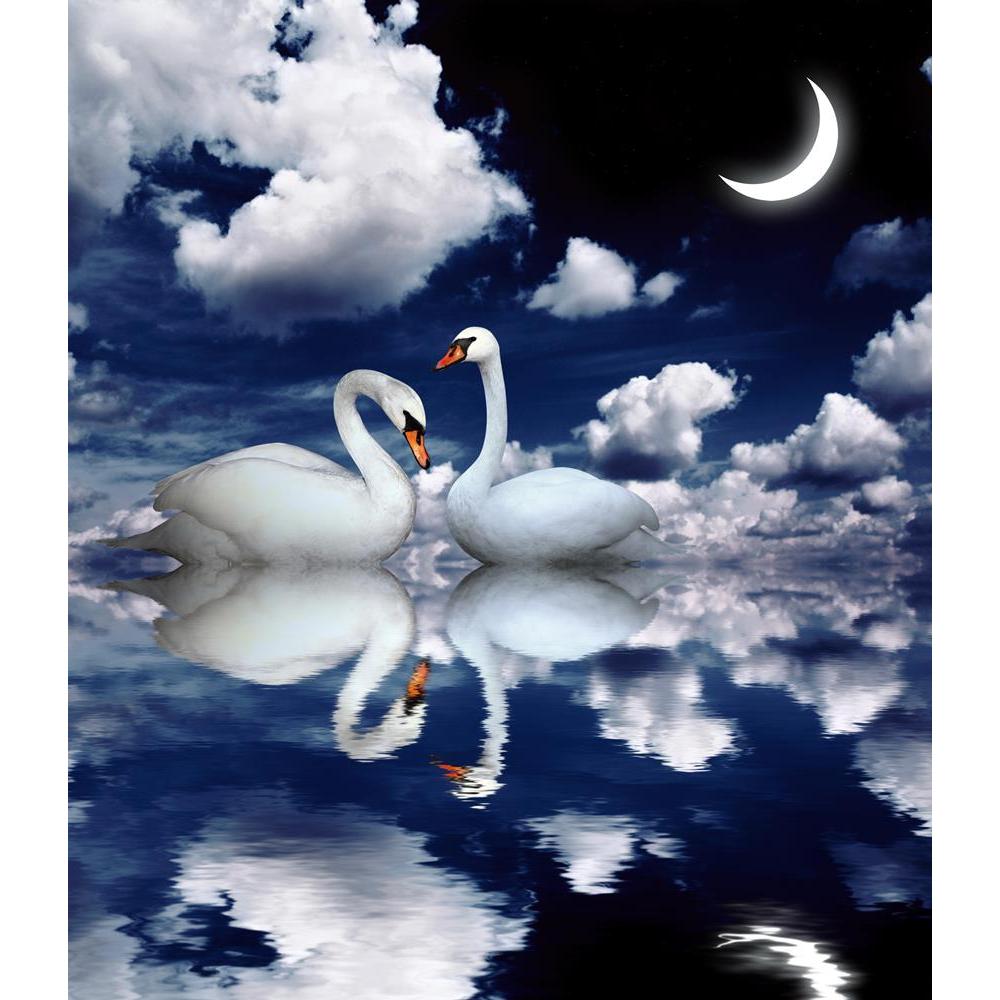 ArtzFolio Image of Two White Swans D1 Canvas Painting-Paintings MDF Framing-AZ5006062ART_UN_RF_R-0-Image Code 5006062 Vishnu Image Folio Pvt Ltd, IC 5006062, ArtzFolio, Paintings MDF Framing, Birds, Photography, image, of, two, white, swans, d1, canvas, painting, framed, print, wall, for, living, room, with, frame, poster, pitaara, box, large, size, drawing, art, split, big, office, reception, kids, panel, designer, decorative, amazonbasics, reprint, small, bedroom, on, scenery, swan, bird, pair, animal, la