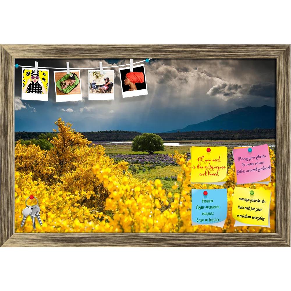 ArtzFolio Landscape of Lonely Tree in New Zealand Printed Bulletin Board Notice Pin Board Soft Board | Framed-Bulletin Boards Framed-AZ5006065BLB_FR_RF_R-0-Image Code 5006065 Vishnu Image Folio Pvt Ltd, IC 5006065, ArtzFolio, Bulletin Boards Framed, Landscapes, Places, Photography, landscape, of, lonely, tree, in, new, zealand, printed, bulletin, board, notice, pin, soft, framed, south, islands, background, newzealand, beautiful, grassland, mountains, fantastic, adventure, vacation, contrast, landmark, satu