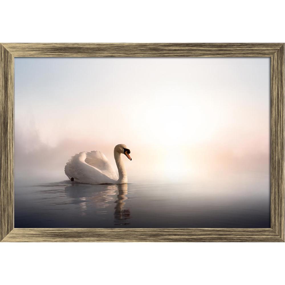 ArtzFolio Swan Floating On The Water At Sunrise Of The Day Canvas Painting-Paintings Wooden Framing-AZ5006067ART_FR_RF_R-0-Image Code 5006067 Vishnu Image Folio Pvt Ltd, IC 5006067, ArtzFolio, Paintings Wooden Framing, Birds, Photography, swan, floating, on, the, water, at, sunrise, of, day, canvas, painting, framed, print, wall, for, living, room, with, frame, poster, pitaara, box, large, size, drawing, art, split, big, office, reception, kids, panel, designer, decorative, amazonbasics, reprint, small, bed