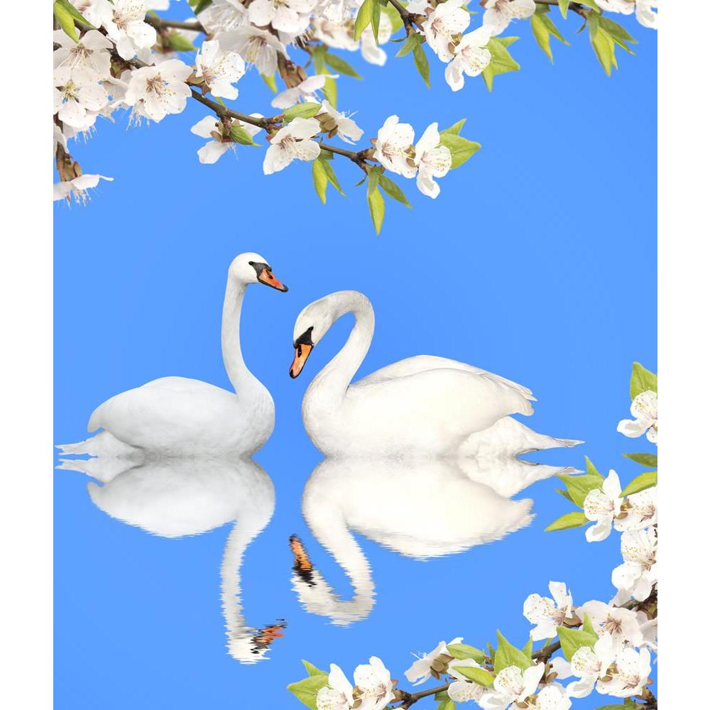 ArtzFolio Image of Two White Swans D2 Peel & Stick Vinyl Wall Sticker-Laminated Wall Stickers-AZ5006075ART_UN_RF_R-0-Image Code 5006075 Vishnu Image Folio Pvt Ltd, IC 5006075, ArtzFolio, Laminated Wall Stickers, Birds, Floral, Kids, Photography, image, of, two, white, swans, d2, peel, stick, vinyl, wall, sticker, for, bedroom, large, size, decal, drawing, room, living, decorative, big, waterproof, home, office, reception, pitaara, box, designer, prints, pvc, amazonbasics, washable, abstract, self, adhesive,