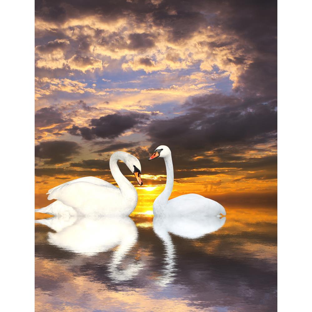 ArtzFolio Two White Swans D1 Peel & Stick Vinyl Wall Sticker-Laminated Wall Stickers-AZ5006080ART_UN_RF_R-0-Image Code 5006080 Vishnu Image Folio Pvt Ltd, IC 5006080, ArtzFolio, Laminated Wall Stickers, Birds, Photography, two, white, swans, d1, peel, stick, vinyl, wall, sticker, for, bedroom, large, size, decal, drawing, room, living, decorative, big, waterproof, home, office, reception, pitaara, box, designer, prints, kids, pvc, amazonbasics, washable, abstract, self, adhesive, imported, small, decals, ki
