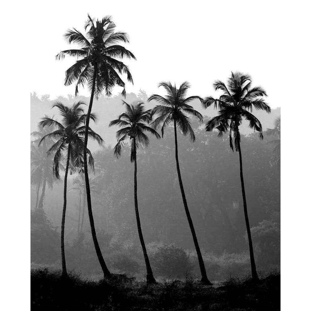 ArtzFolio Black White Photo Of Palm Trees Peel & Stick Vinyl Wall Sticker-Laminated Wall Stickers-AZ5006086ART_UN_RF_R-0-Image Code 5006086 Vishnu Image Folio Pvt Ltd, IC 5006086, ArtzFolio, Laminated Wall Stickers, Landscapes, Photography, black, white, photo, of, palm, trees, peel, stick, vinyl, wall, sticker, for, bedroom, large, size, decal, drawing, room, living, decorative, big, waterproof, home, office, reception, pitaara, box, designer, prints, kids, pvc, amazonbasics, washable, abstract, self, adhe
