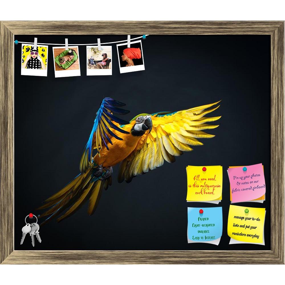 ArtzFolio Colourful Flying Ara Bird Printed Bulletin Board Notice Pin Board Soft Board | Framed-Bulletin Boards Framed-AZ5006093BLB_FR_RF_R-0-Image Code 5006093 Vishnu Image Folio Pvt Ltd, IC 5006093, ArtzFolio, Bulletin Boards Framed, Birds, Photography, colourful, flying, ara, bird, printed, bulletin, board, notice, pin, soft, framed, air, alone, animal, avian, background, beak, blue, bright, caribbean, color, colorful, colour, cute, feather, feathered, feathers, fly, green, isolated, macaw, maccaw, mccaw
