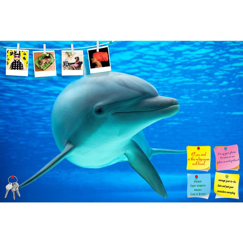 ArtzFolio Dolphin Photographed in an Aquarium Printed Bulletin Board Notice Pin Board Soft Board | Frameless-Bulletin Boards Frameless-AZ5006094BLB_FL_RF_R-0-Image Code 5006094 Vishnu Image Folio Pvt Ltd, IC 5006094, ArtzFolio, Bulletin Boards Frameless, Animals, Kids, Photography, dolphin, photographed, in, an, aquarium, printed, bulletin, board, notice, pin, soft, frameless, basin, delfino, delphinus, mammal, mammiferi, nature, pool, portrait, sea, life, swimming, underwater, water, pin up board, push pin