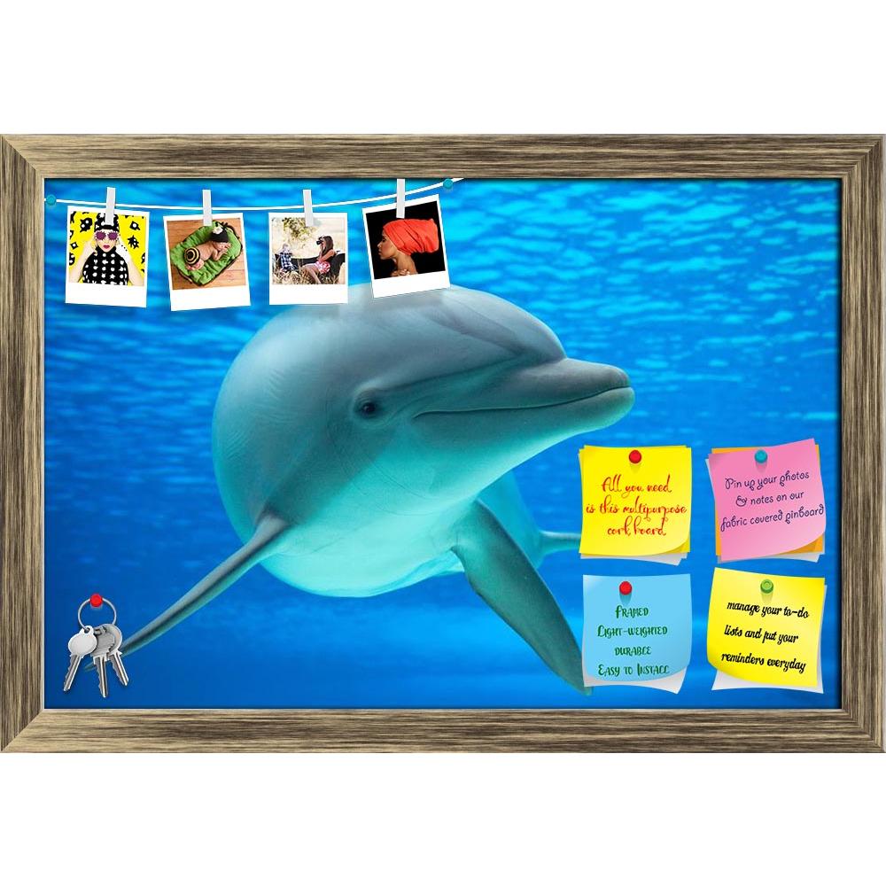 ArtzFolio Dolphin Photographed in an Aquarium Printed Bulletin Board Notice Pin Board Soft Board | Framed-Bulletin Boards Framed-AZ5006094BLB_FR_RF_R-0-Image Code 5006094 Vishnu Image Folio Pvt Ltd, IC 5006094, ArtzFolio, Bulletin Boards Framed, Animals, Kids, Photography, dolphin, photographed, in, an, aquarium, printed, bulletin, board, notice, pin, soft, framed, basin, delfino, delphinus, mammal, mammiferi, nature, pool, portrait, sea, life, swimming, underwater, water, pin up board, push pin board, extr