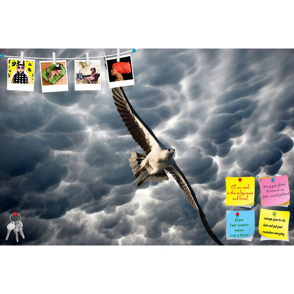 ArtzFolio Eagle in the Stormy Sky Printed Bulletin Board Notice Pin Board Soft Board | Frameless-Bulletin Boards Frameless-AZ5006096BLB_FL_RF_R-0-Image Code 5006096 Vishnu Image Folio Pvt Ltd, IC 5006096, ArtzFolio, Bulletin Boards Frameless, Birds, Landscapes, Photography, eagle, in, the, stormy, sky, printed, bulletin, board, notice, pin, soft, frameless, animal, art, background, bald, beautiful, bird, blue, building, clouds, fish, fly, freedom, graphic, hawk, high, hot, hunter, illustration, isolated, la