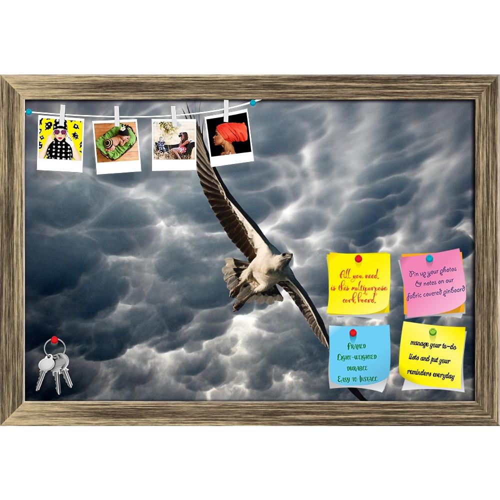 ArtzFolio Eagle in the Stormy Sky Printed Bulletin Board Notice Pin Board Soft Board | Framed-Bulletin Boards Framed-AZ5006096BLB_FR_RF_R-0-Image Code 5006096 Vishnu Image Folio Pvt Ltd, IC 5006096, ArtzFolio, Bulletin Boards Framed, Birds, Landscapes, Photography, eagle, in, the, stormy, sky, printed, bulletin, board, notice, pin, soft, framed, animal, art, background, bald, beautiful, bird, blue, building, clouds, fish, fly, freedom, graphic, hawk, high, hot, hunter, illustration, isolated, landscape, maj