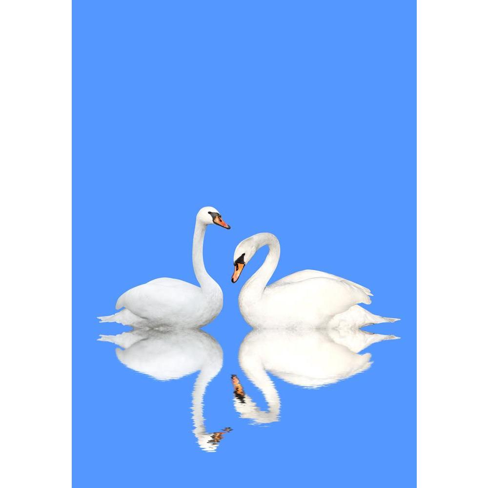 ArtzFolio Image of Two White Swans D3 Canvas Painting-Paintings MDF Framing-AZ5006101ART_UN_RF_R-0-Image Code 5006101 Vishnu Image Folio Pvt Ltd, IC 5006101, ArtzFolio, Paintings MDF Framing, Birds, Photography, image, of, two, white, swans, d3, canvas, painting, framed, print, wall, for, living, room, with, frame, poster, pitaara, box, large, size, drawing, art, split, big, office, reception, kids, panel, designer, decorative, amazonbasics, reprint, small, bedroom, on, scenery, swan, bird, pair, animal, la