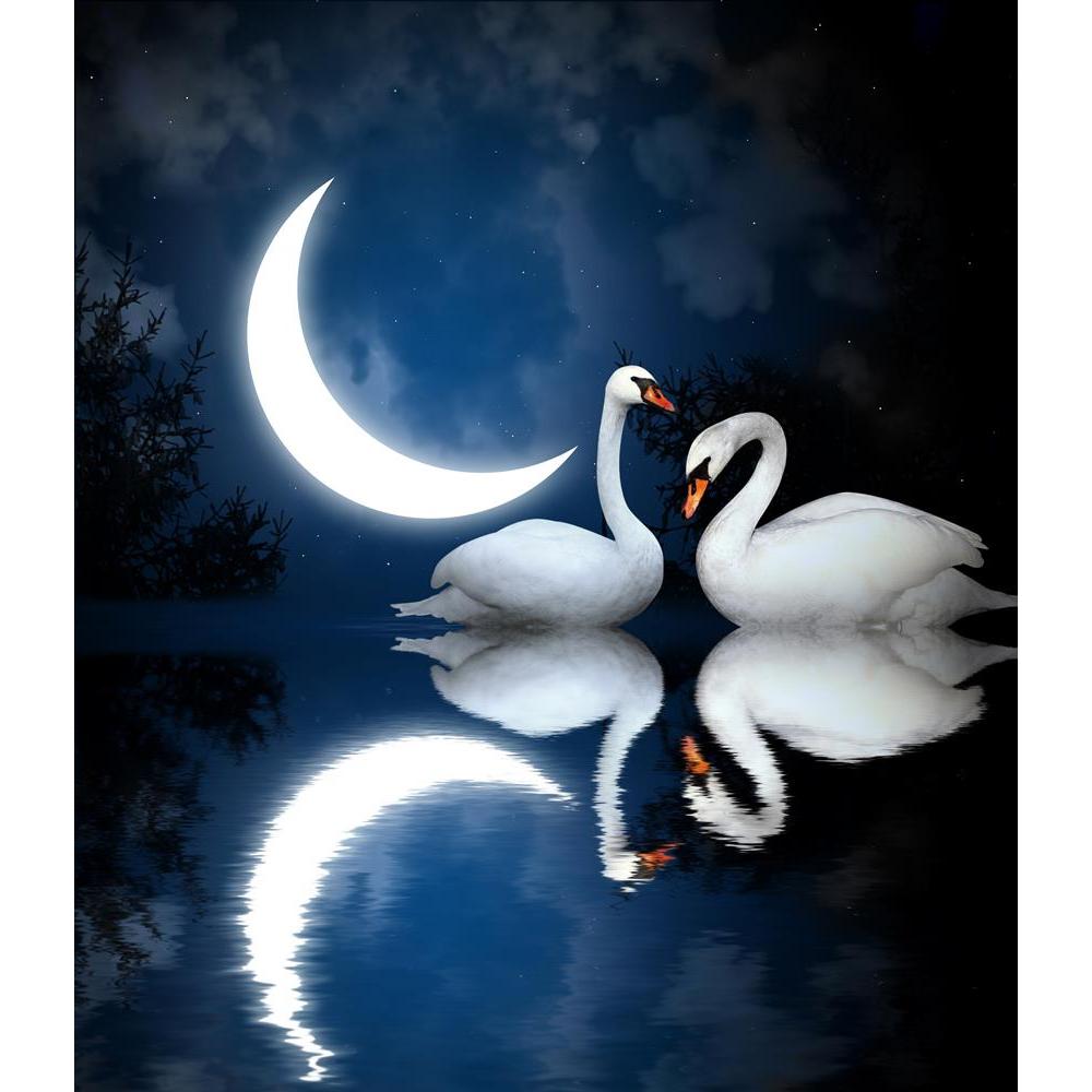 ArtzFolio Image of Two White Swans D4 Peel & Stick Vinyl Wall Sticker-Laminated Wall Stickers-AZ5006118ART_UN_RF_R-0-Image Code 5006118 Vishnu Image Folio Pvt Ltd, IC 5006118, ArtzFolio, Laminated Wall Stickers, Birds, Photography, image, of, two, white, swans, d4, peel, stick, vinyl, wall, sticker, for, bedroom, large, size, decal, drawing, room, living, decorative, big, waterproof, home, office, reception, pitaara, box, designer, prints, kids, pvc, amazonbasics, washable, abstract, self, adhesive, importe