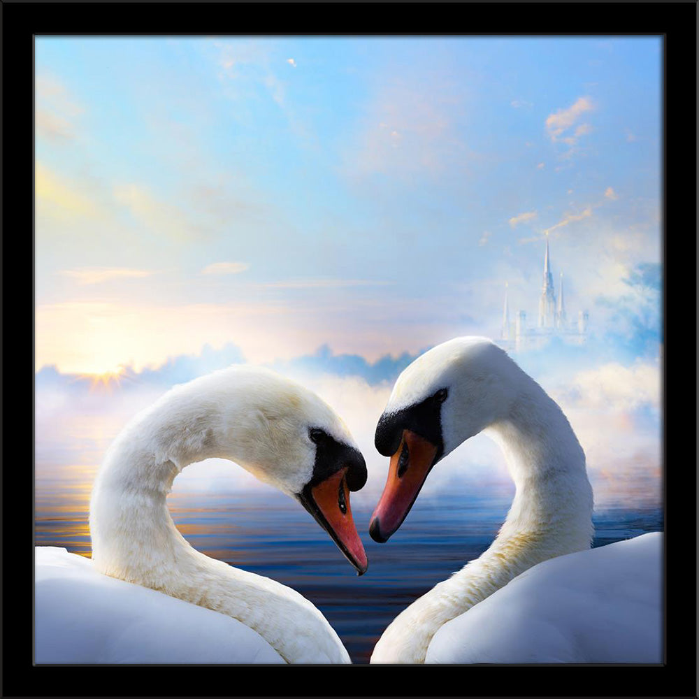 Pair of Swans in Love Floating on the Water Painting Poster Frame-Regular Art Framed-REG_FR-IC 5006127 IC 5006127, Art and Paintings, Birds, Black and White, Family, Hearts, Landscapes, Love, Nature, Romance, Scenic, Signs and Symbols, Sunrises, Sunsets, Symbols, Wedding, White, Wildlife, pair, of, swans, in, floating, on, the, water, painting, poster, frame, background, beautiful, beauty, bird, blue, bright, calm, couple, day, elegant, graceful, happiness, heart, kiss, lake, landscape, light, lovely, mirro