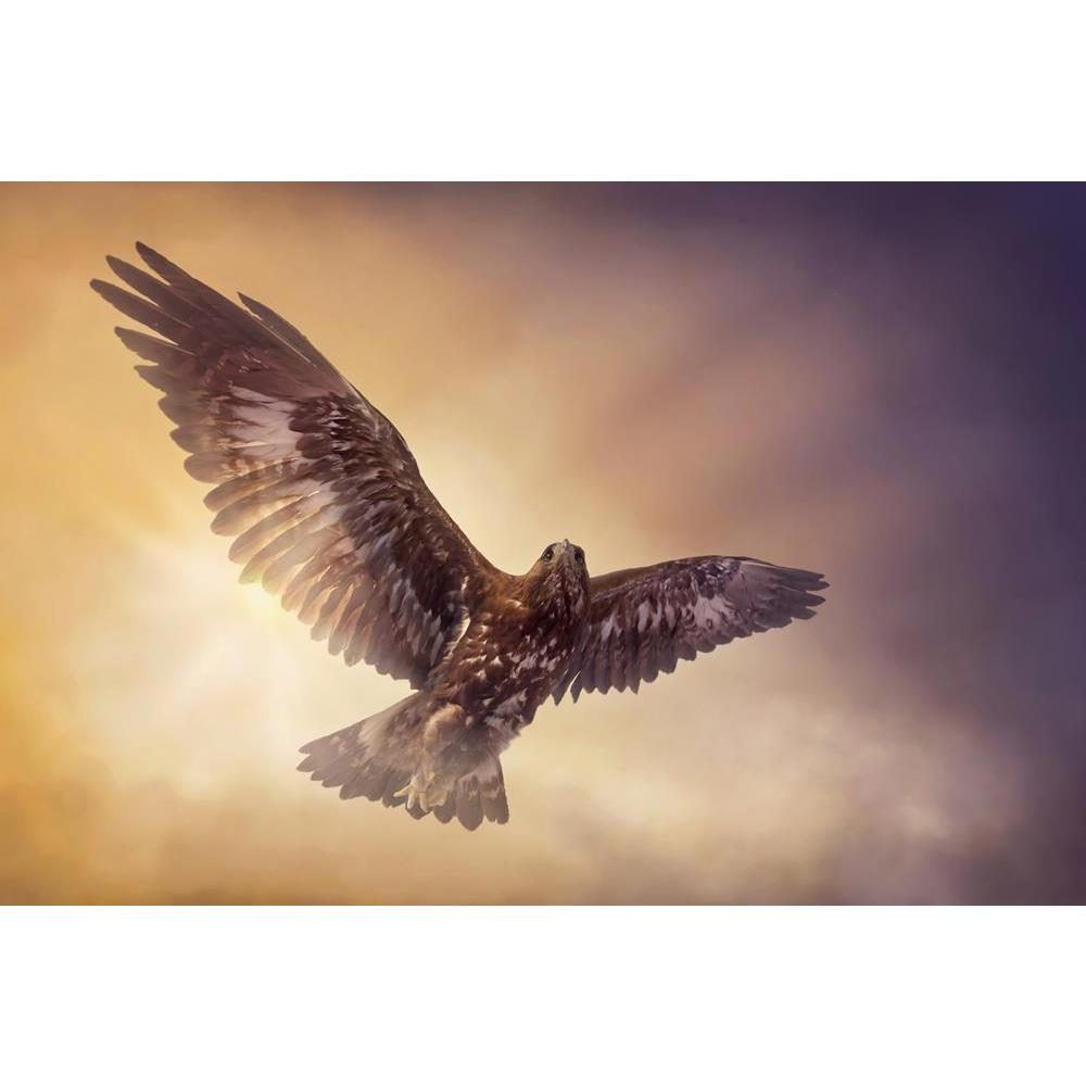 ArtzFolio Eagle Flying In The Sky Unframed Premium Canvas Painting-Paintings Unframed Premium-AZ5006141ART_UN_RF_R-0-Image Code 5006141 Vishnu Image Folio Pvt Ltd, IC 5006141, ArtzFolio, Paintings Unframed Premium, Birds, Photography, eagle, flying, in, the, sky, unframed, premium, canvas, painting, large, size, print, wall, for, living, room, without, frame, decorative, poster, art, pitaara, box, drawing, amazonbasics, big, kids, designer, office, reception, reprint, bedroom, panel, panels, on, scenery, bi