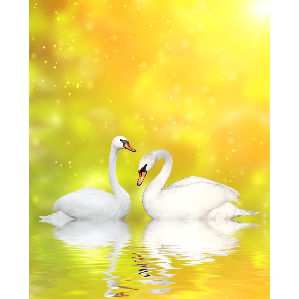 ArtzFolio Two White Swans D3 Canvas Painting-Paintings MDF Framing-AZ5006148ART_UN_RF_R-0-Image Code 5006148 Vishnu Image Folio Pvt Ltd, IC 5006148, ArtzFolio, Paintings MDF Framing, Birds, Photography, two, white, swans, d3, canvas, painting, framed, print, wall, for, living, room, with, frame, poster, pitaara, box, large, size, drawing, art, split, big, office, reception, of, kids, panel, designer, decorative, amazonbasics, reprint, small, bedroom, on, scenery, swan, bird, pair, animal, lake, love, nature