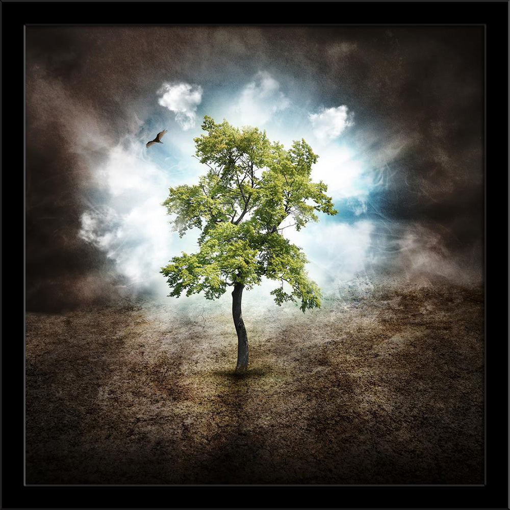 Lonely Tree in the Woods, Dream or Nature Concept Painting Poster Frame-Regular Art Framed-REG_FR-IC 5006162 IC 5006162, Futurism, Landscapes, Nature, Scenic, Seasons, Surrealism, Wooden, lonely, tree, in, the, woods, dream, or, concept, painting, poster, frame, of, life, miracle, optimism, hope, impossible, alone, change, climate, dark, depression, desert, destruction, dirt, disaster, drought, dry, dryness, earth, ecology, environment, field, free, freedom, future, green, ground, growing, growth, happiness