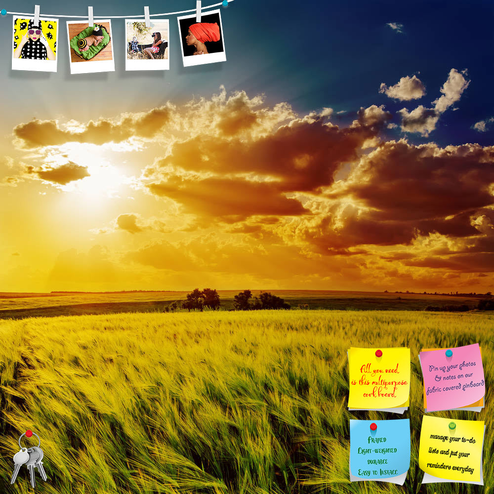 ArtzFolio Orange Sunset Over Green Field Printed Bulletin Board Notice Pin Board Soft Board | Frameless-Bulletin Boards Frameless-AZ5006164BLB_FL_RF_R-0-Image Code 5006164 Vishnu Image Folio Pvt Ltd, IC 5006164, ArtzFolio, Bulletin Boards Frameless, Landscapes, Photography, orange, sunset, over, green, field, printed, bulletin, board, notice, pin, soft, frameless, agriculture, background, blue, bright, cloud, cloudscape, color, colorful, country, countryside, dramatic, dusk, environment, evening, farm, fres