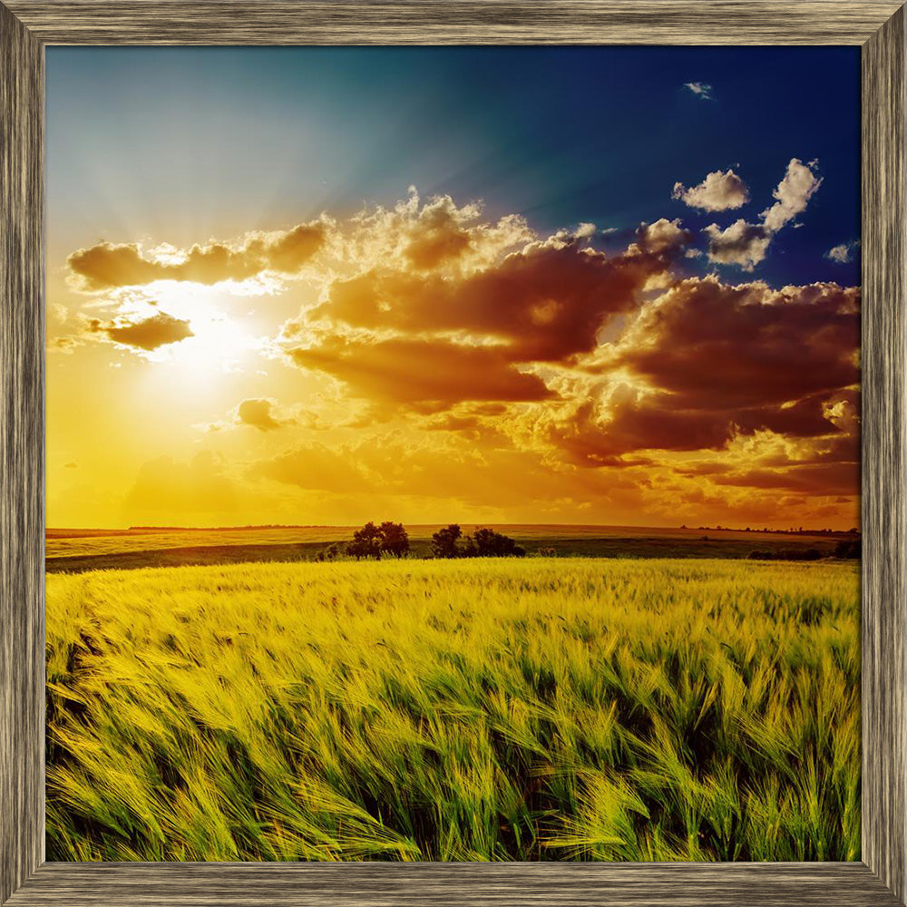 ArtzFolio Orange Sunset Over Green Field Canvas Painting Synthetic Frame-Paintings Synthetic Framing-AZ5006164ART_FR_RF_R-0-Image Code 5006164 Vishnu Image Folio Pvt Ltd, IC 5006164, ArtzFolio, Paintings Synthetic Framing, Landscapes, Photography, orange, sunset, over, green, field, canvas, painting, synthetic, frame, framed, print, wall, for, living, room, with, poster, pitaara, box, large, size, drawing, art, split, big, office, reception, of, kids, panel, designer, decorative, amazonbasics, reprint, smal