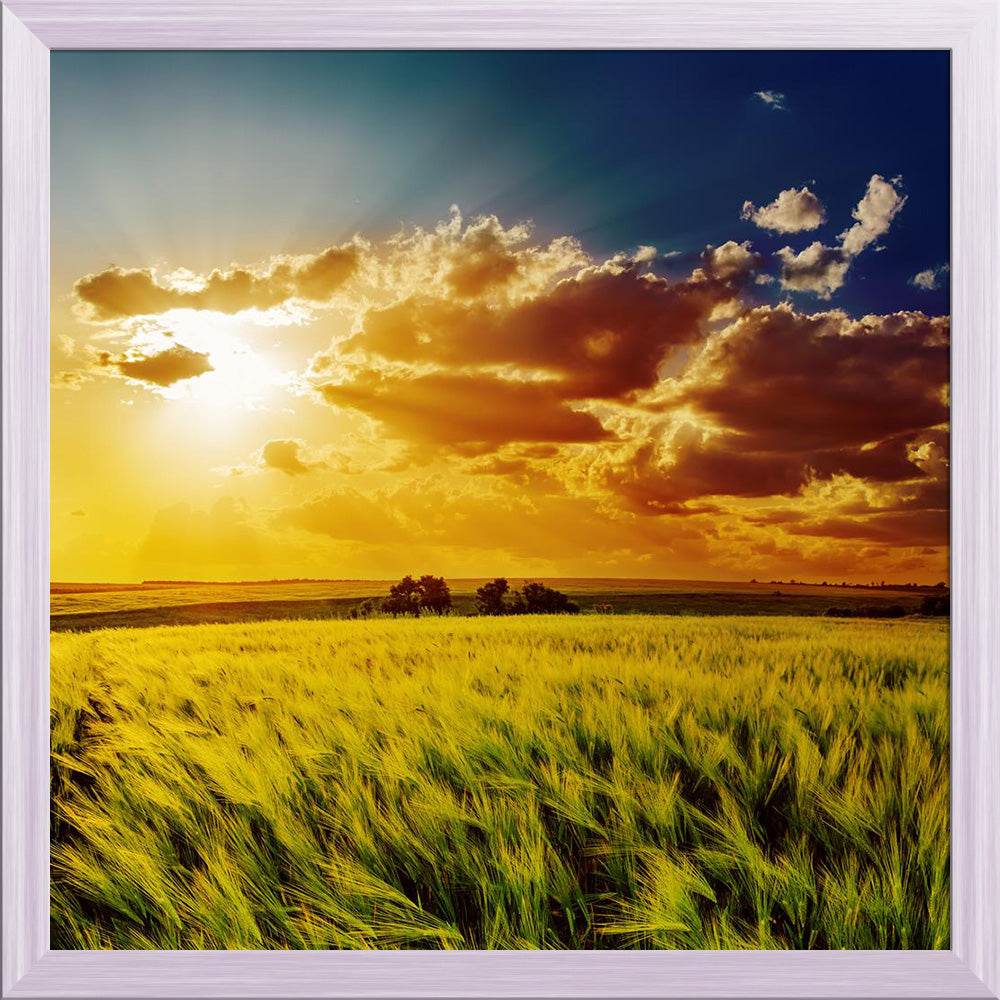 ArtzFolio Orange Sunset Over Green Field Canvas Painting Synthetic Frame-Paintings Synthetic Framing-AZ5006164ART_FR_RF_R-0-Image Code 5006164 Vishnu Image Folio Pvt Ltd, IC 5006164, ArtzFolio, Paintings Synthetic Framing, Landscapes, Photography, orange, sunset, over, green, field, canvas, painting, synthetic, frame, framed, print, wall, for, living, room, with, poster, pitaara, box, large, size, drawing, art, split, big, office, reception, of, kids, panel, designer, decorative, amazonbasics, reprint, smal