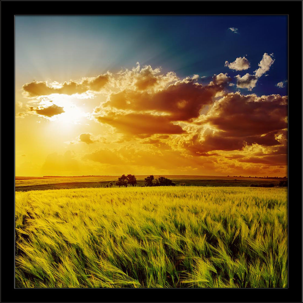 Orange Sunset Over Green Field Painting Poster Frame-Regular Art Framed-REG_FR-IC 5006164 IC 5006164, Countries, Culture, Ethnic, Landscapes, Mountains, Nature, Rural, Scenic, Seasons, Sunrises, Sunsets, Traditional, Tribal, World Culture, orange, sunset, over, green, field, painting, poster, frame, agriculture, background, blue, bright, cloud, cloudscape, color, colorful, country, countryside, dramatic, dusk, environment, evening, farm, fresh, grass, hill, horizon, idyllic, land, landscape, lawn, light, me