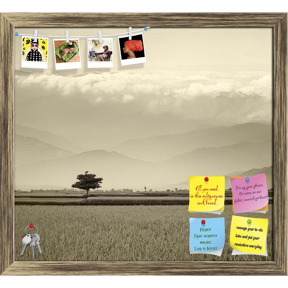 ArtzFolio Beautiful Paddy Place Printed Bulletin Board Notice Pin Board Soft Board | Framed-Bulletin Boards Framed-AZ5006170BLB_FR_RF_R-0-Image Code 5006170 Vishnu Image Folio Pvt Ltd, IC 5006170, ArtzFolio, Bulletin Boards Framed, Landscapes, Photography, beautiful, paddy, place, printed, bulletin, board, notice, pin, soft, framed, for, adv, or, others, purpose, use, pin up board, push pin board, extra large cork board, big pin board, notice board, small bulletin board, cork board, wall notice board, giant