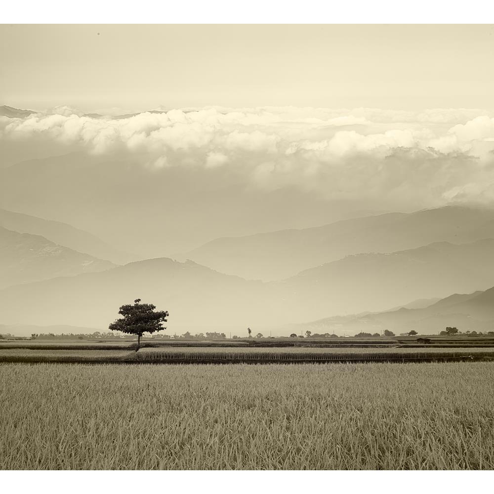 ArtzFolio Beautiful Paddy Place Canvas Painting-Paintings MDF Framing-AZ5006170ART_UN_RF_R-0-Image Code 5006170 Vishnu Image Folio Pvt Ltd, IC 5006170, ArtzFolio, Paintings MDF Framing, Landscapes, Photography, beautiful, paddy, place, canvas, painting, framed, print, wall, for, living, room, with, frame, poster, pitaara, box, large, size, drawing, art, split, big, office, reception, of, kids, panel, designer, decorative, amazonbasics, reprint, small, bedroom, on, scenery, adv, or, others, purpose, use, pai