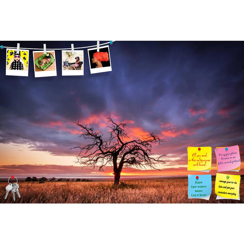 ArtzFolio Tree in the Flinders Ranges of South Australia Printed Bulletin Board Notice Pin Board Soft Board | Frameless-Bulletin Boards Frameless-AZ5006172BLB_FL_RF_R-0-Image Code 5006172 Vishnu Image Folio Pvt Ltd, IC 5006172, ArtzFolio, Bulletin Boards Frameless, Landscapes, Places, Photography, tree, in, the, flinders, ranges, of, south, australia, printed, bulletin, board, notice, pin, soft, frameless, beauty, clouds, colour, dead, farm, field, horizon, landscape, light, meadow, nature, outdoor, port, p